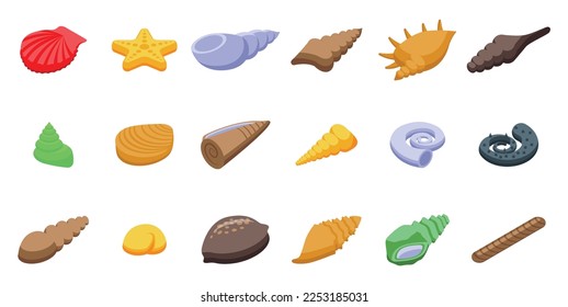 Conch icons set isometric vector. Beach shell. Nature pearl