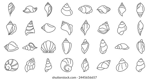 Conch icons set outline vector. Sea shell. Snail nature animal