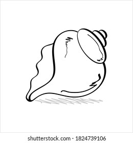 Conch A Marine Mollusc Pen Ink Style Sketch Vector Art Illustration