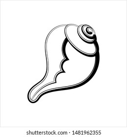 Conch A Marine Mollusc Vector Art Illustration