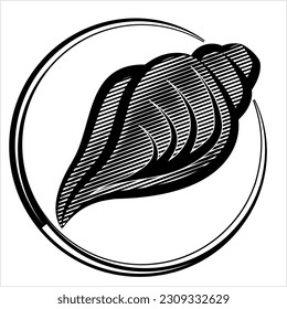 Conch A Marine Mollusc Vector Art Illustration