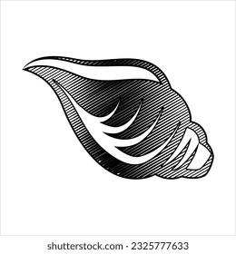 Conch A Marine Mollusc Vector Art Illustration