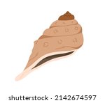 Conch, sea shell. Marine seashell icon. Swirled nautical mollusc. Ocean underwater shellfish. Exotic beach object for decoration. Flat vector illustration isolated on white background