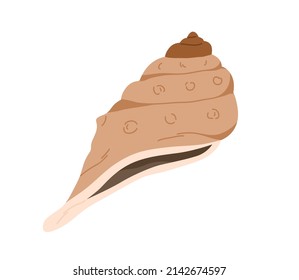 Conch, sea shell. Marine seashell icon. Swirled nautical mollusc. Ocean underwater shellfish. Exotic beach object for decoration. Flat vector illustration isolated on white background