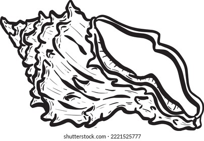 Conch Sea Snail Shell Outline Cartoon Style Logo Design in Vektorgrafik