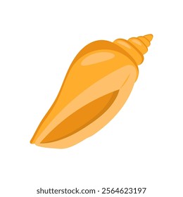 Conch Seafood Vector Illustration, Isolated