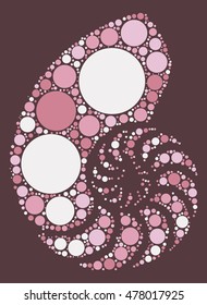 conch shape vector design by color point
