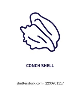 conch shell icon from religion collection. Thin linear conch shell, natural, ocean outline icon isolated on white background. Line vector conch shell sign, symbol for web and mobile