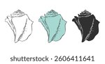 Conch shell icons, clam shell silhouette with spiral shape of wildlife from tropical ocean bottom, seashore sand beach and coral reef.