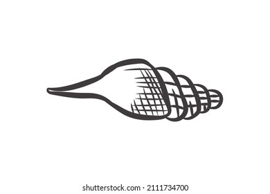 conch shell illustration on black and white colors