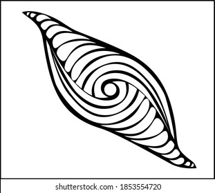 Conch Shell with inside layers - vector illustration