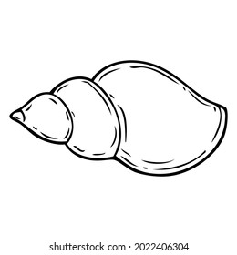 conch shell line vector illustration,isolated on white background,top view