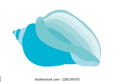 Conch shell marine blue color.