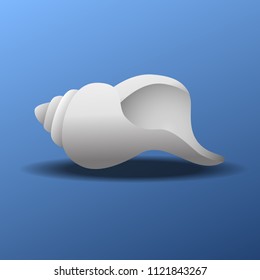 Conch Shell Vector Illustration.