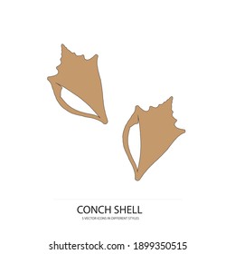 Conch Shell vector type icon