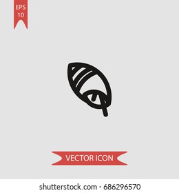 Conch vector icon, illustration symbol