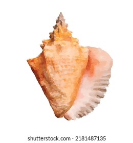 Conch watercolor art Vector shell Marine design Ocean and sea wildlife Watercolor Clipart for logo or decoration design