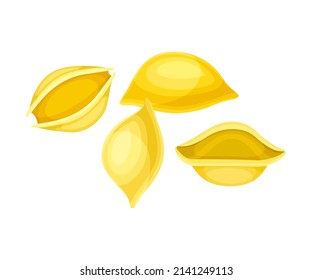 Conchiglie dry pasta. Italian restaurant menu design vector illustration