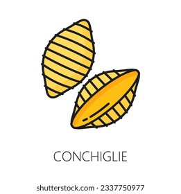 Conchiglie Nudeln, nicht gekocht, getrocknete italienische Küche Essen. Vektorroh organische Muschelpasten mit Farbumriss-Symbol. Traditionelle italienische Muschelpasta