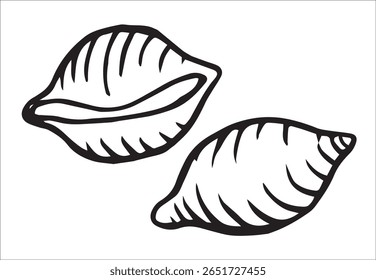 conchiglie pasta. ilustração vetorial em estilo doodle