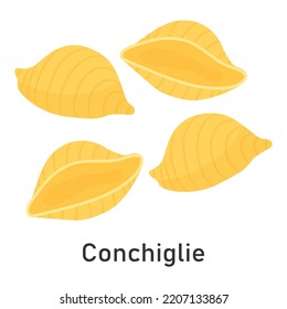 Conchile Italian pasta. For menu design, packaging and more. Vector illustration.