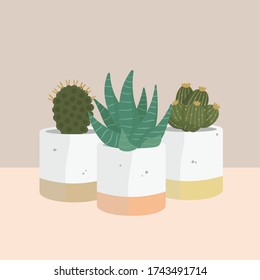 Plantas hormigueras con vector de cactus