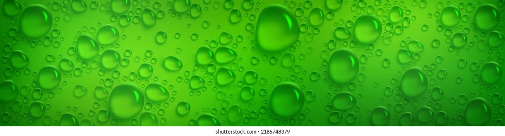 Condensation water drops on green horizontal background. Rain droplets with light reflection abstract wet texture, scattered pure aqua blobs pattern, backdrop, Realistic 3d vector footer or header