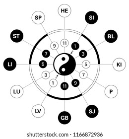 Condensed Circadian clock of the main meridians of the body according to Chinese medicine - 12 hours. With yin yang indicator