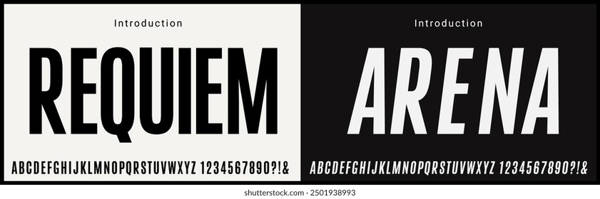 Condensed Vector Fonts. Alphabet of sans serif font with modern typography. bold and tall vector font