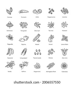 Condiment and herbs icons set. Outline set of condiment vector icons