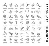 Condiment icons set. Outline set of condiment vector icons