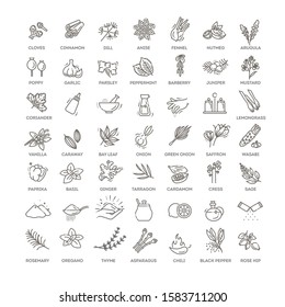 Condiment icons set. Outline set of condiment vector icons