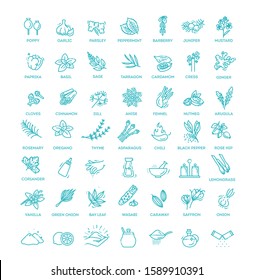 Condiment icons set. Outline set of condiment vector icons