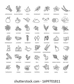 Condiment icons set. Outline set of condiment vector icons