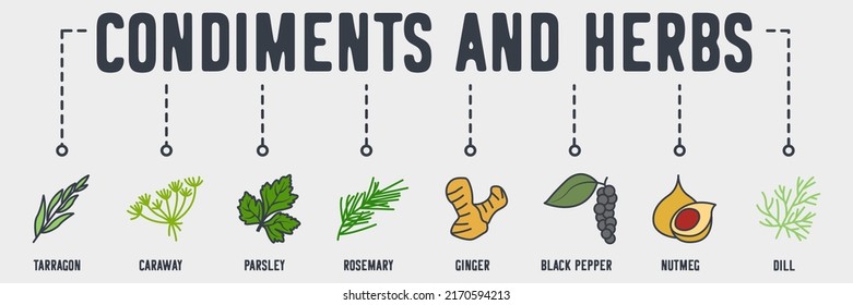 condiments and herbs banner web icon. tarragon, caraway, parsley, rosemary, ginger, black pepper, nutmeg, dill vector illustration concept.