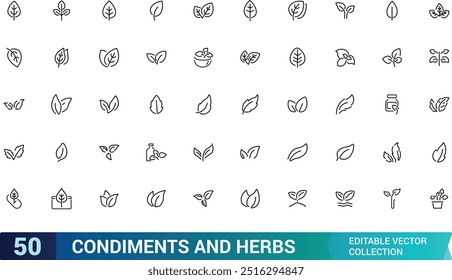 condiments and herbs icons set, Spices, minimal thin line web icon set. Minimalis line symble collections, ui icon set, Outline icons collection. Simple vector illustration.