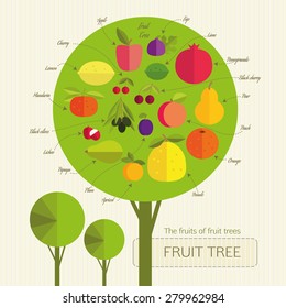 Conditional fruit tree with fruits that grow on trees from different countries. Each fruit was signed. Gardening.
