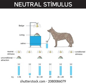 conditioned stimulus neutral
stimulus unconditional
attraction