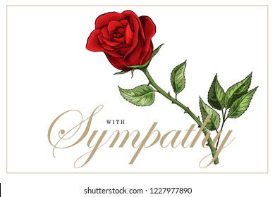 Condolences Sympathy Card Floral Red Roses Bouquet And Golden Lettering Vector Template