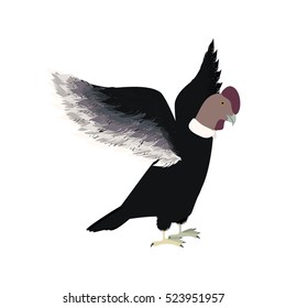 condor animal bird icon with opened wings
