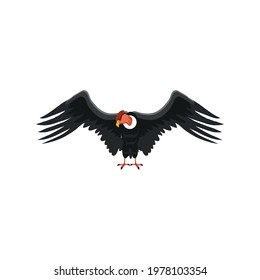 Condor Bird Animal Isolated Icon