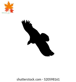 Condor bird icon. Simple illustration.