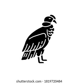 Condor black glyph icon. Large bird of with sharp beak and claws. New world vulture, predatory bird. Zoology, ornithology silhouette symbol on white space. Andean condor vector isolated illustration
