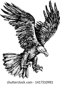 condor eagle flying logo illustration background vector