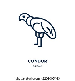 condor icon from animals collection. Thin linear condor, bird, animal outline icon isolated on white background. Line vector condor sign, symbol for web and mobile