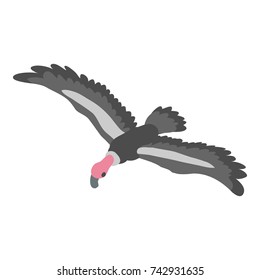 Condor icon. Isometric illustration of condor vector icon for web