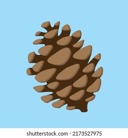 Cone, Christmas tree cone, conifer cone