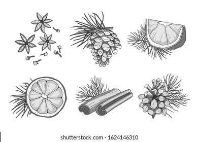 Cone and cinnamon set. Vector illustration.