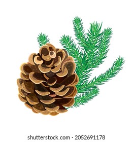 Cone with fir twig isolated on white background. Pine cone with branch of spruce needles. Coniferous winter plant. Christmas decoration, winter symbol. New Year decor.Winter design.Vector illustration