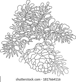 Cone hanging on a snow-covered prickly branch, black and white outline vector cartoon illustration for a coloring book page